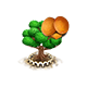 stranglerfig_upgrade_1_big.png