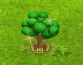 stranglerfig_upgrade_2_big.gif