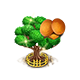 stranglerfig_upgrade_2_big.png