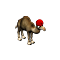 sultanCamel_small.png