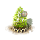 swampcypress_upgrade_1_big.png
