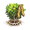 sweetbirch_upgrade_1.png