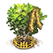 sweetbirch_upgrade_2.png