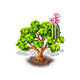 tabebuiarosea_upgrade_0_big.png