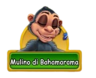 tasto isola.png