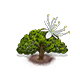 tessmanniaprinceps_upgrade_0_big.png