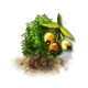 tilia_upgrade_0_big.png
