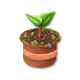 trainseedling_tree_may22_as.png