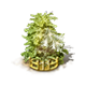 upload_2025-7-18_15-18-3.png