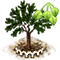 uvariopsisdicaprio_upgrade_1.png