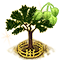 uvariopsisdicaprio_upgrade_2.png