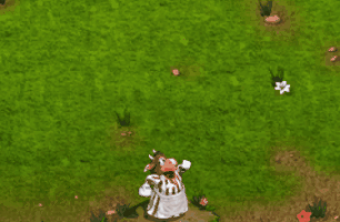 video Berta.gif