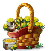 vikingjun2025basket3_big.png