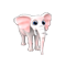 whiteElephant_small.png