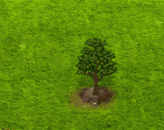 yoshinocherry_upgrade_0.gif