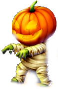 zucca (1).png